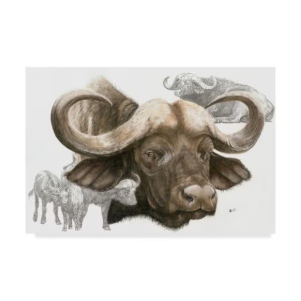 Barbara Keith 'Puissant' Canvas Art, 16x24, Trademark Fine Art, Mfr#: ALI25035-C1624GG